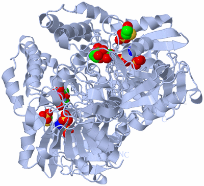 Image Biological Unit 1