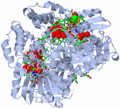 Image Biol. Unit 1 - sites