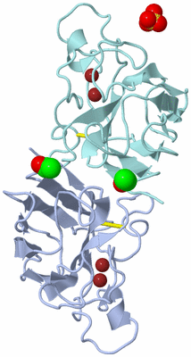 Image Biological Unit 1