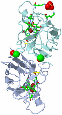 Image Biol. Unit 1 - sites