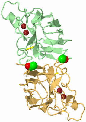 Image Biological Unit 2