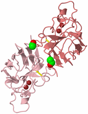 Image Biological Unit 3