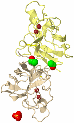 Image Biological Unit 4