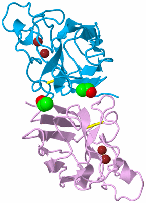 Image Biological Unit 5