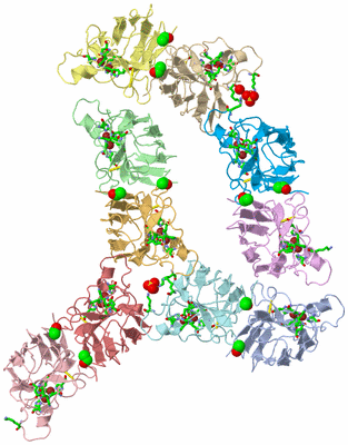 Image Asym. Unit - sites