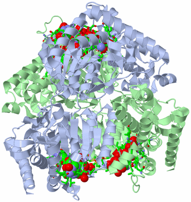 Image Biol. Unit 1 - sites