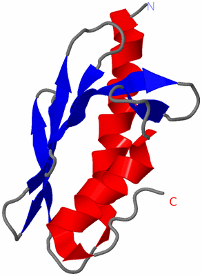 Image NMR Structure - model 1