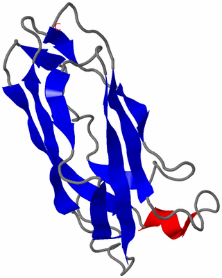 Image NMR Structure - model 1