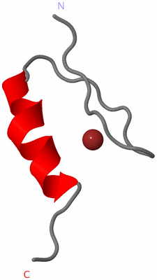 Image NMR Structure - model 1