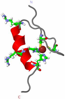 Image NMR Structure - model 1, sites