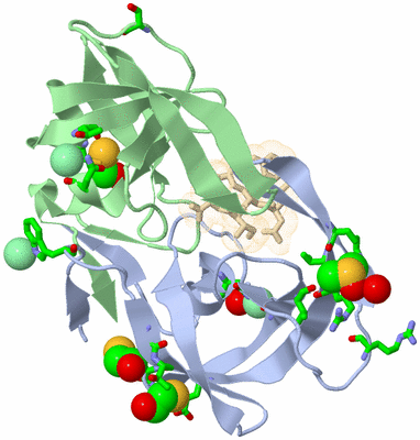 Image Asym./Biol. Unit - sites