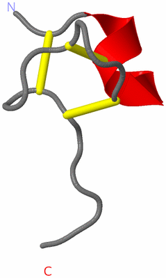 Image NMR Structure - model 1