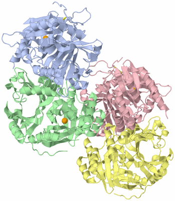 Image Asymmetric Unit