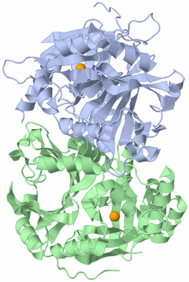 Image Biological Unit 1