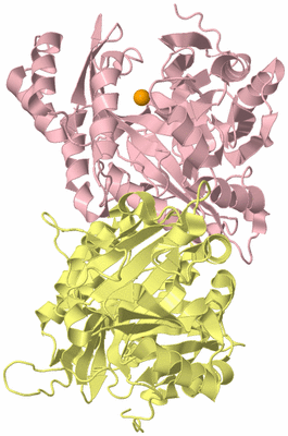 Image Biological Unit 2