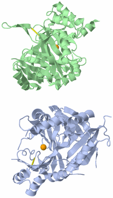 Image Asymmetric Unit
