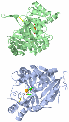 Image Asym. Unit - sites