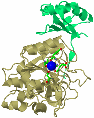 Image Asym./Biol. Unit - sites