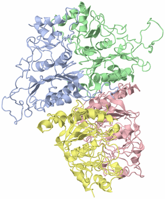 Image Asym./Biol. Unit