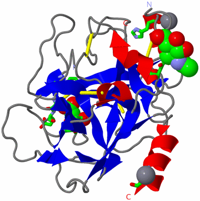 Image Asym./Biol. Unit - sites