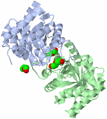 Image Asym./Biol. Unit