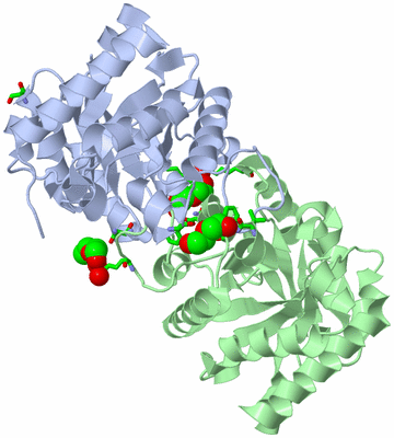 Image Asym./Biol. Unit - sites