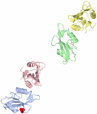 Image Asymmetric Unit