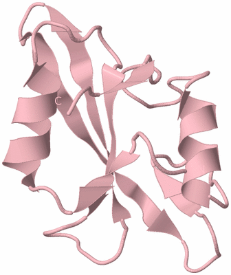 Image Biological Unit 3