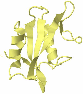 Image Biological Unit 4