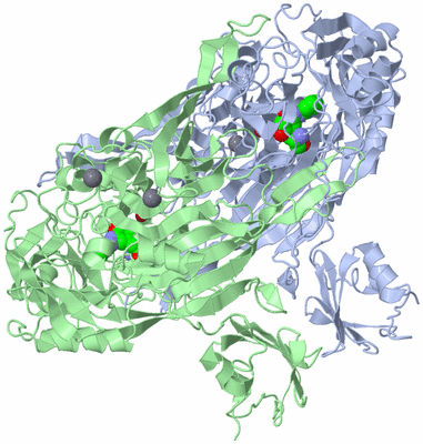 Image Asym./Biol. Unit