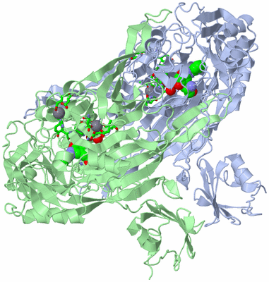 Image Asym./Biol. Unit - sites