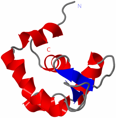 Image NMR Structure - model 1