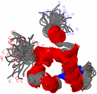 Image NMR Structure - all models