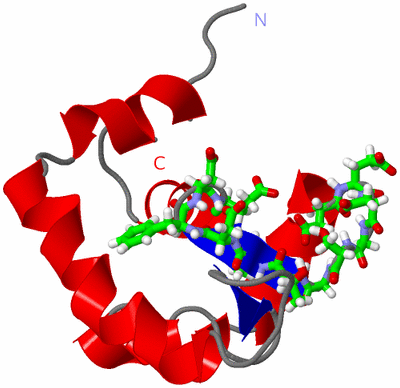 Image NMR Structure - model 1, sites