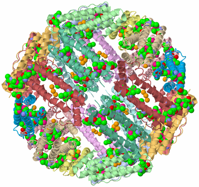 Image Biological Unit 1