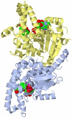 Image Biological Unit 1