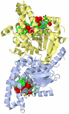 Image Biol. Unit 1 - sites