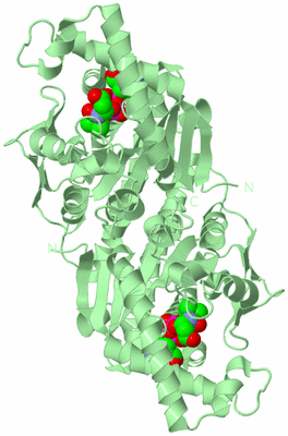 Image Biological Unit 2