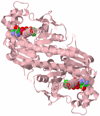 Image Biological Unit 3