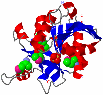 Image Asymmetric Unit