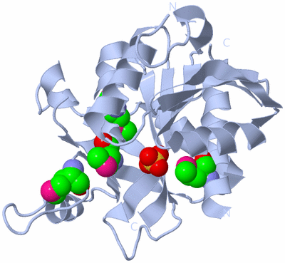 Image Biological Unit 1
