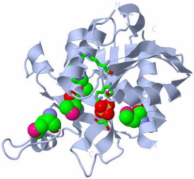 Image Biol. Unit 1 - sites