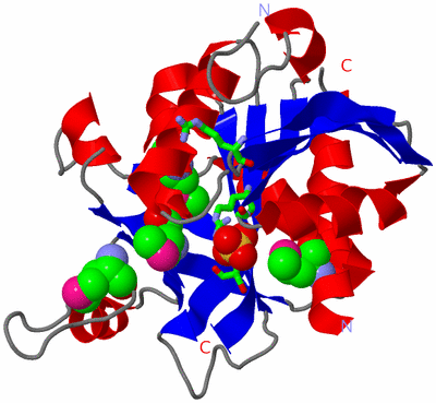 Image Asym. Unit - sites