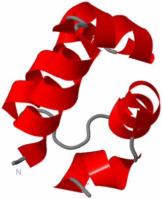 Image NMR Structure - model 1