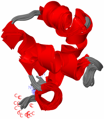 Image NMR Structure - all models