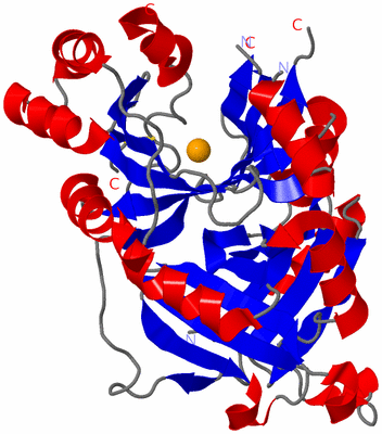 Image Asymmetric Unit