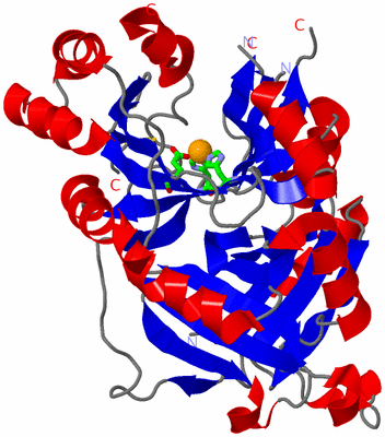 Image Asym. Unit - sites