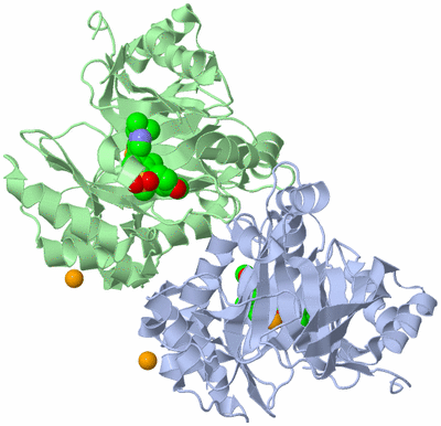 Image Asym./Biol. Unit