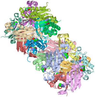 Image Asymmetric Unit