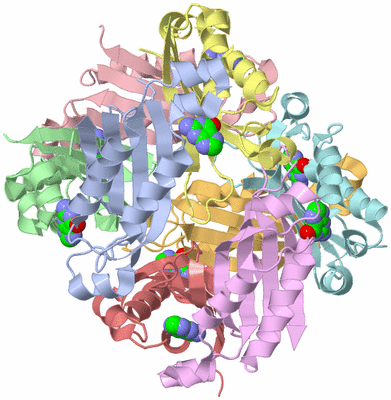 Image Biological Unit 1